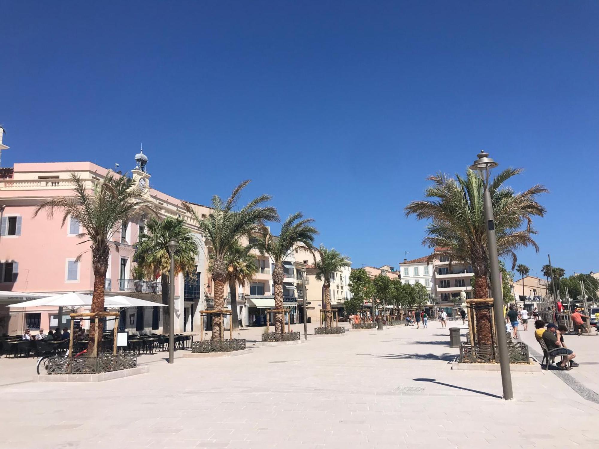 Emplacement Ideal, Vue Mer, Parking Offert Санари-сюр-Мер Экстерьер фото